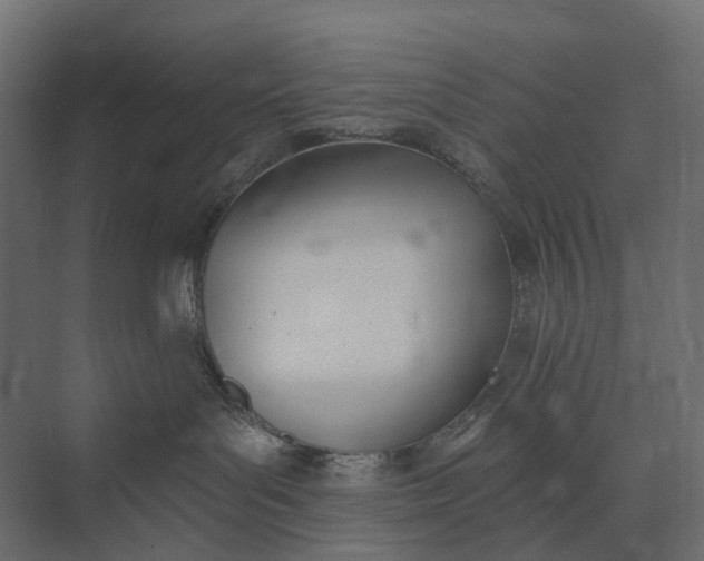 X0000073870143200608241144