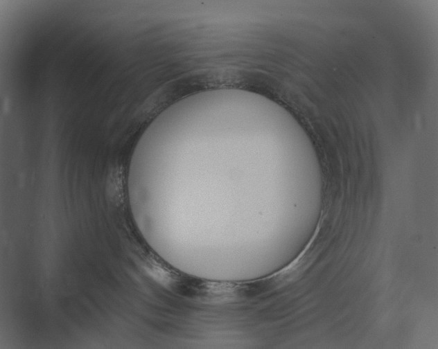 X0000073870144200608241144