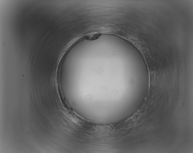 X0000073870147200608241143