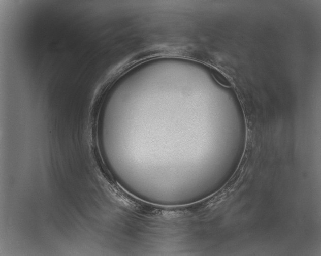 X0000073870149200608241143