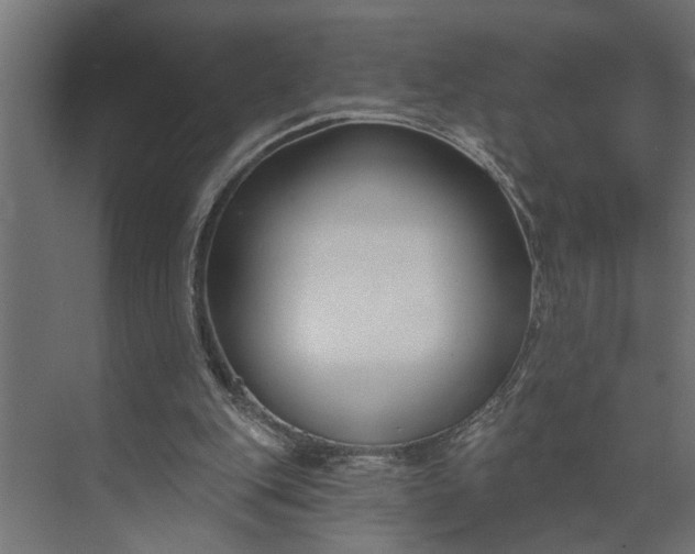 X0000073870151200608241143