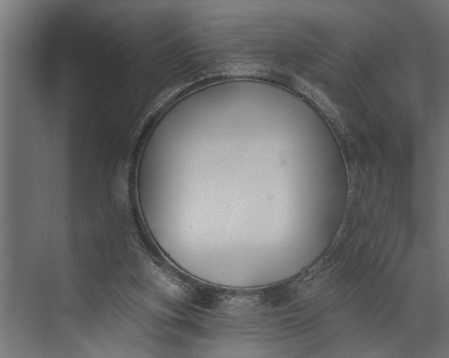 X0000073870155200608241143