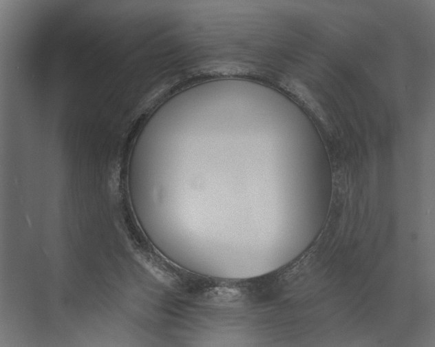 X0000073870159200608241143