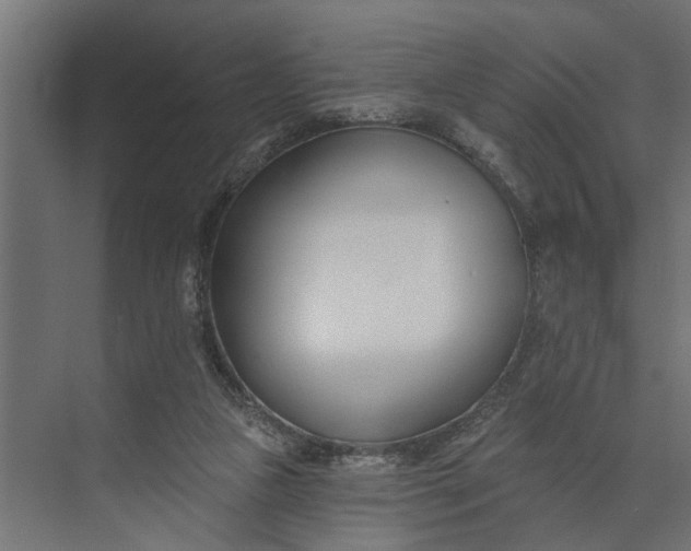 X0000073870161200608241144