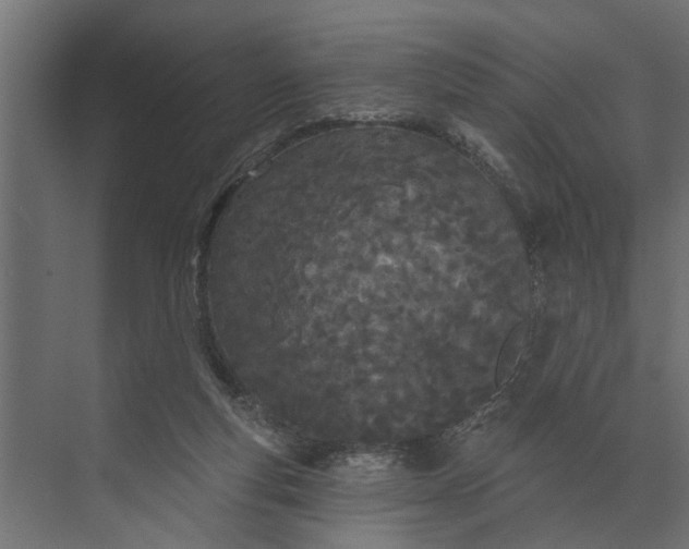 X0000073870163200608241144