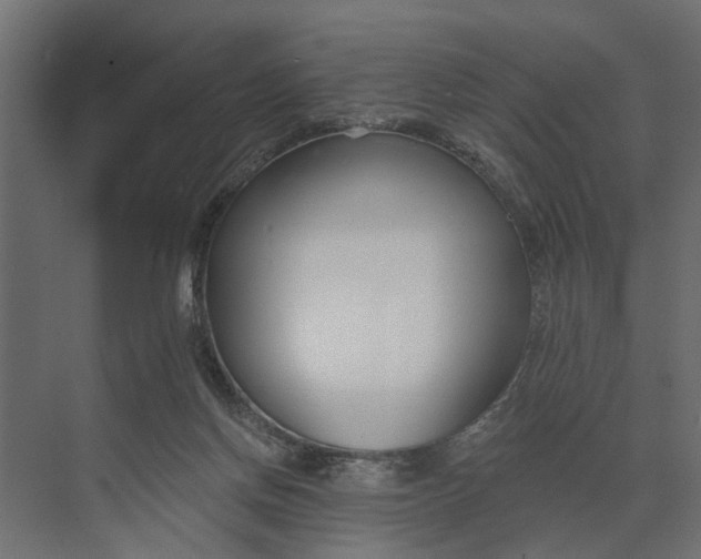 X0000073870166200608241144