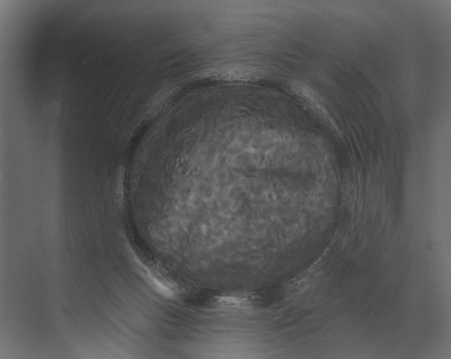 X0000073870167200608241144