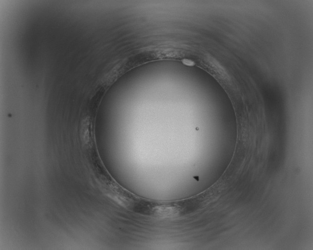 X0000073870169200608241144