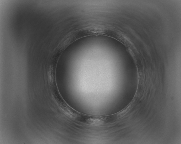 X0000073870170200608241144