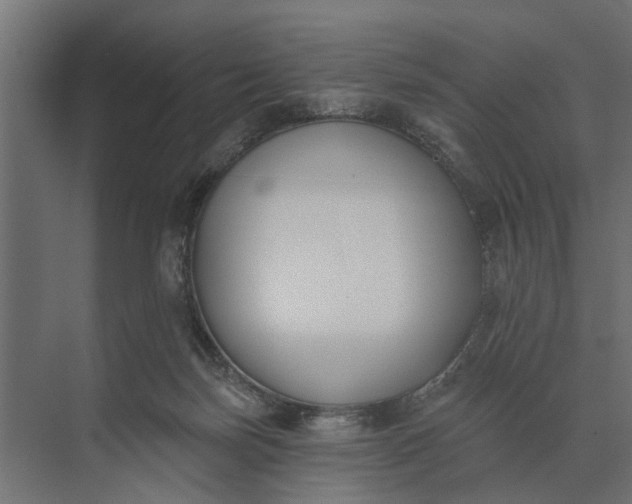 X0000073870171200608241144