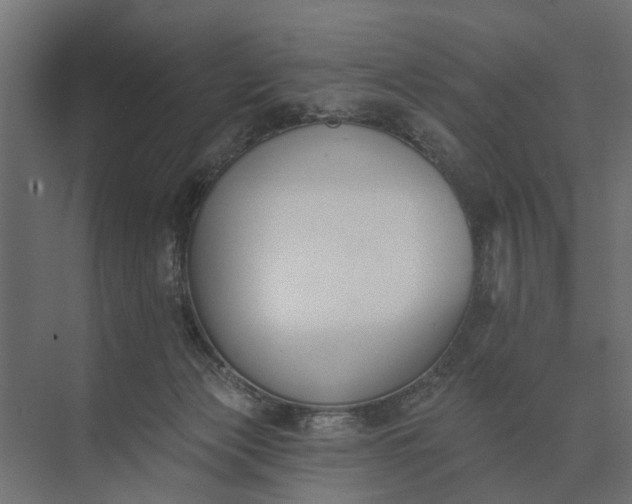 X0000073870173200608241144