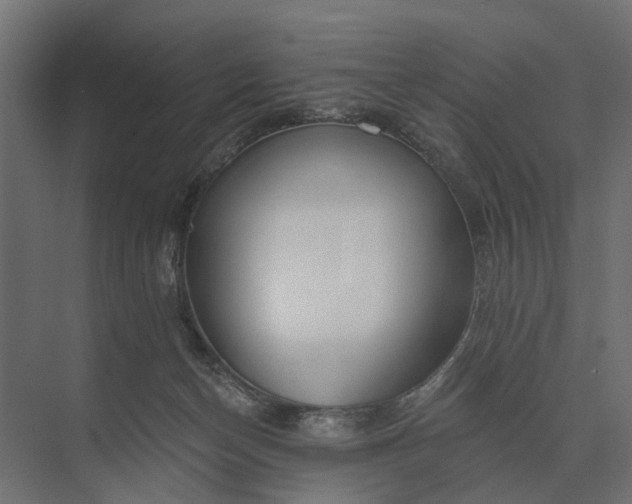 X0000073870174200608241144