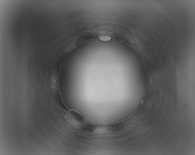 X0000073870177200608241144