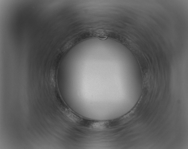 X0000073870178200608241144