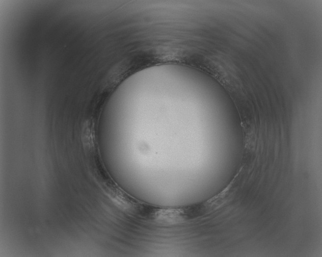 X0000073870179200608241144