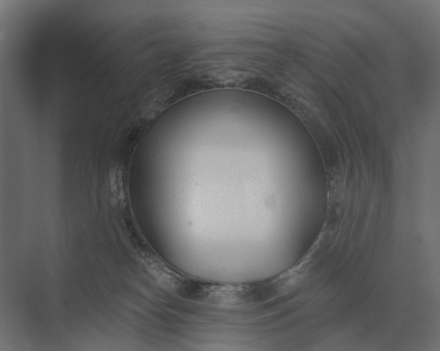 X0000073870182200608241144