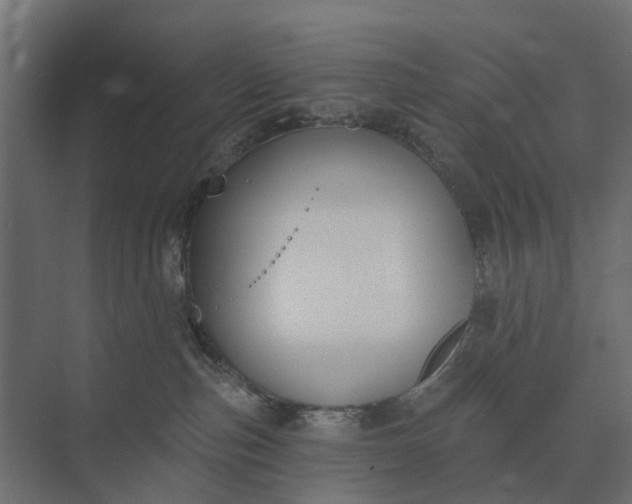 X0000073870187200608241144