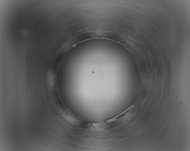 X0000073870188200608241144