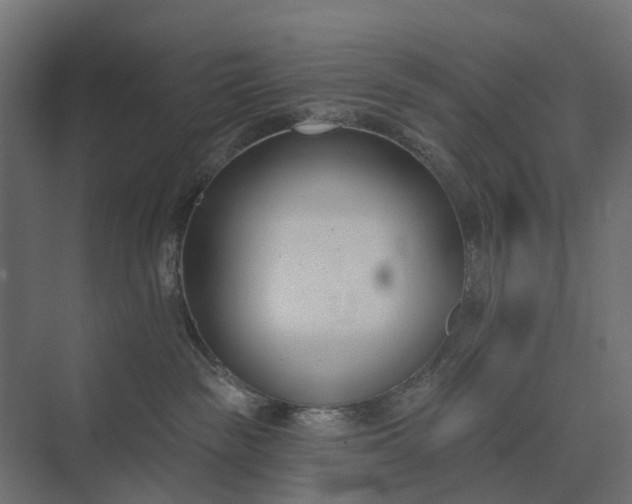 X0000073870189200608241144