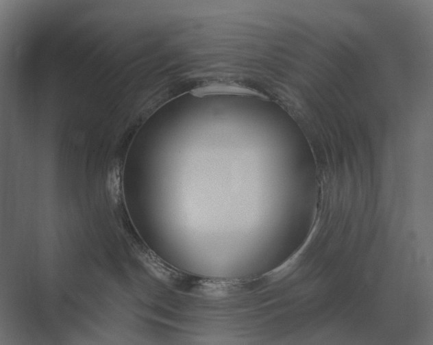 X0000073870190200608241144