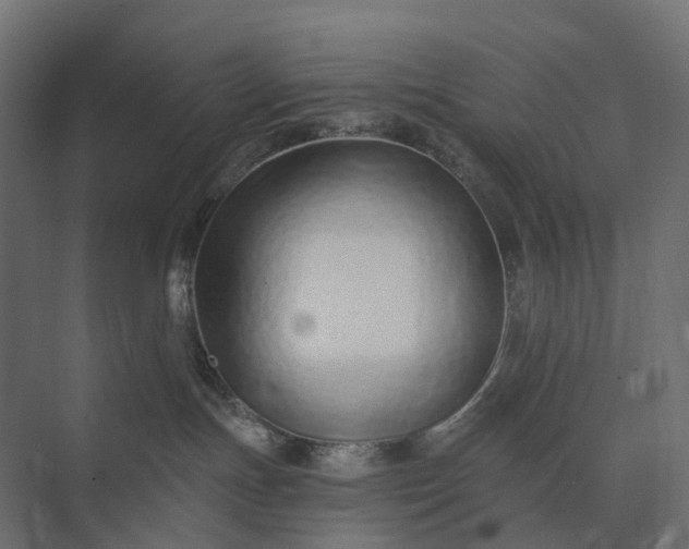 X0000073870191200608241144