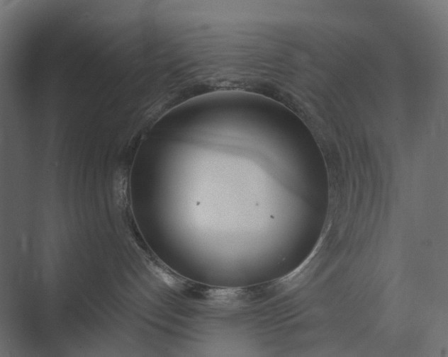 X0000073870192200608241144