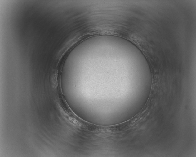 X0000073870194200608241143