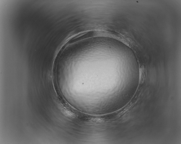 X0000073870195200608241143