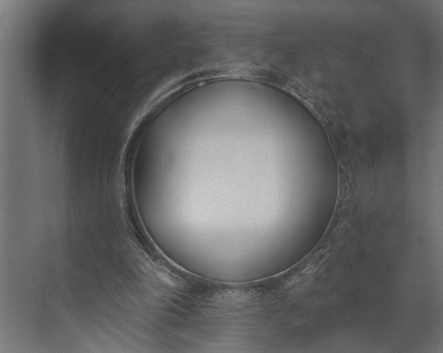 X0000073870198200608241143