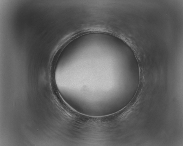 X0000073870199200608241143