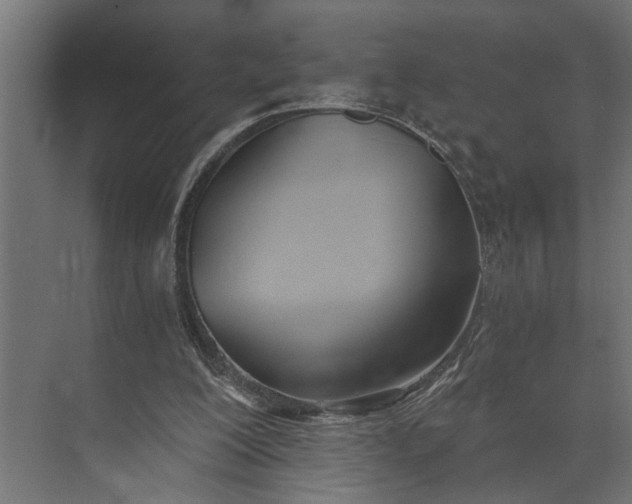 X0000073870200200608241143