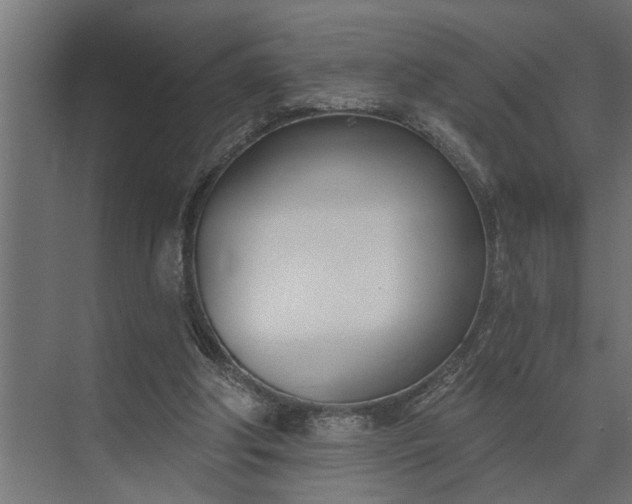 X0000073870202200608241143