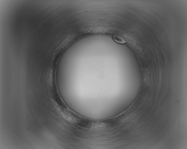 X0000073870206200608241143