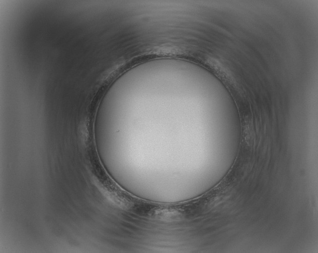 X0000073870208200608241143