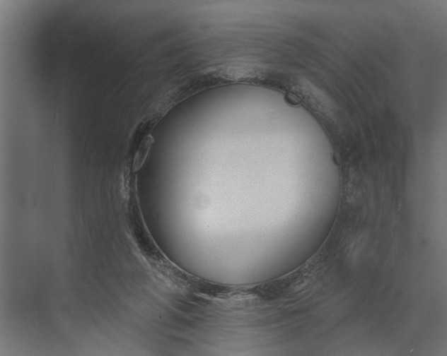 X0000073870210200608241143