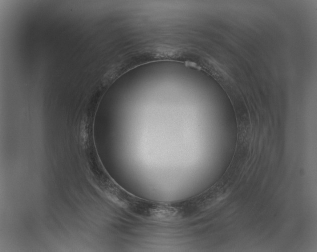 X0000073870215200608241143