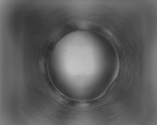 X0000073870217200608241143