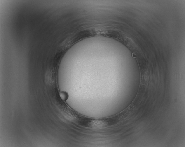 X0000073870218200608241143