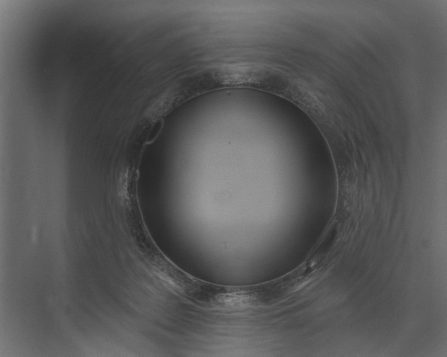 X0000073870219200608241143