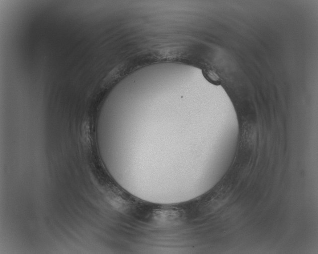 X0000073870220200608241143