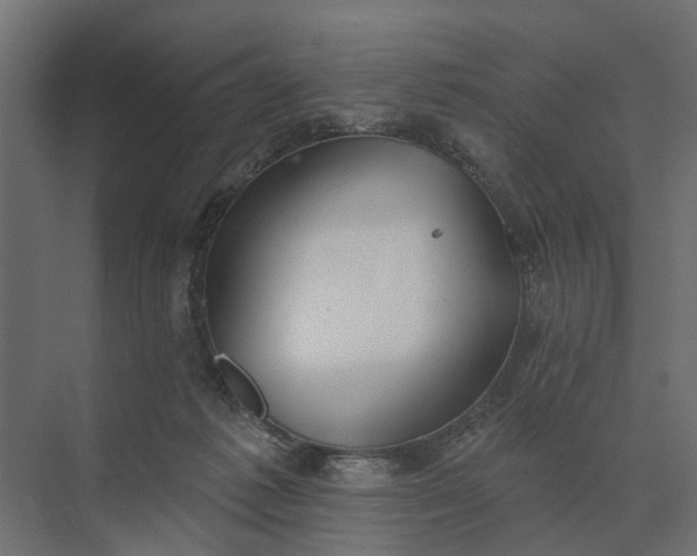 X0000073870221200608241143