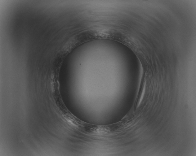 X0000073870223200608241143