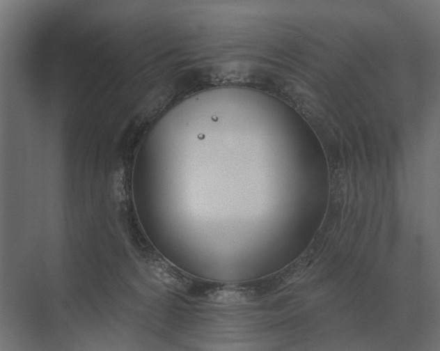 X0000073870224200608241143