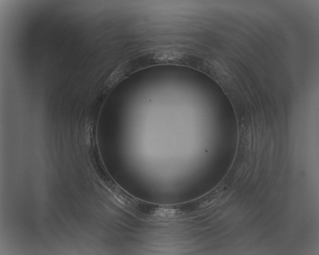 X0000073870227200608241143