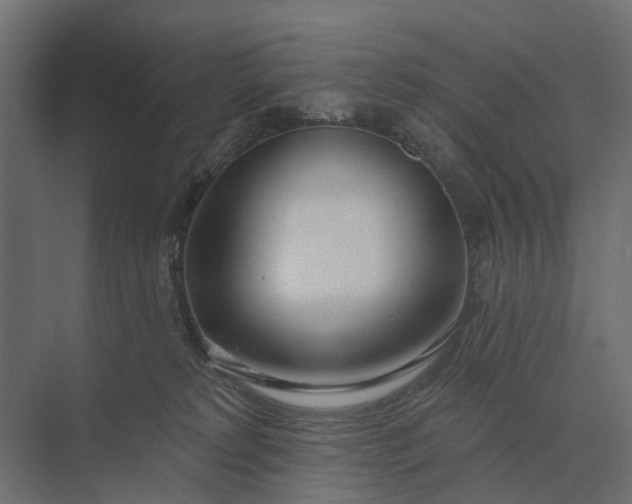 X0000073870229200608241143