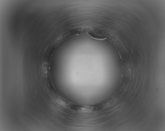 X0000073870232200608241143