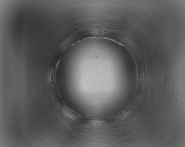 X0000073870233200608241143