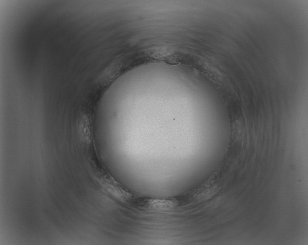 X0000073870234200608241143