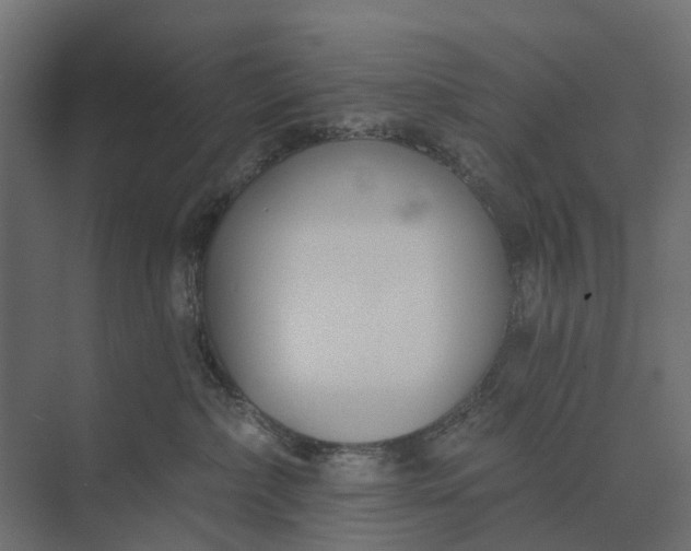 X0000073870236200608241142