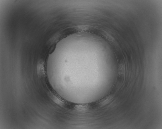 X0000073870238200608241142